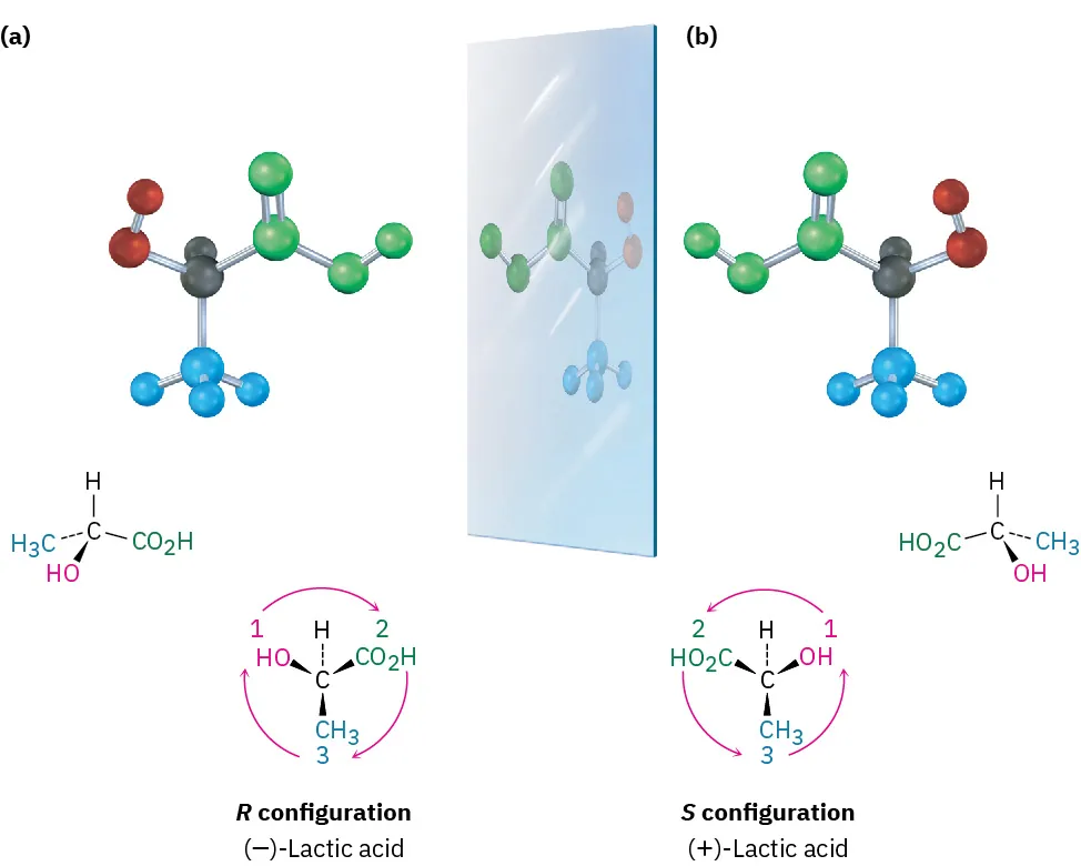 Structure and ball-and-stick model of (minus)-lactic acid with R configuration. Its mirror image shows ball-and-stick model of (plus)-lactic acid with S configuration. The figure also shows structure of (plus)-lactic acid.