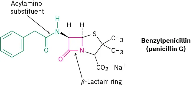 The structure shows benzylpenicillin (Penicillin G). The beta-lactam ring is highlighted in pink color. Acylamino substituent is shown in green color.