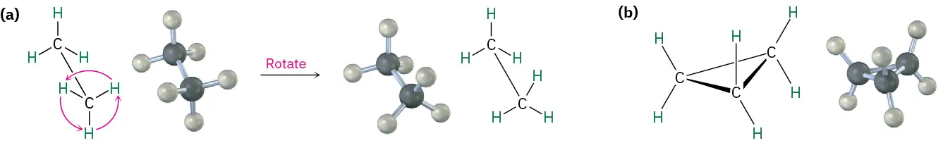 The structural formula and ball and stick models of ethane and cyclopropane. The carbon-carbon bond in ethane undergoes rotation but rotation is not observed in cyclopropane.