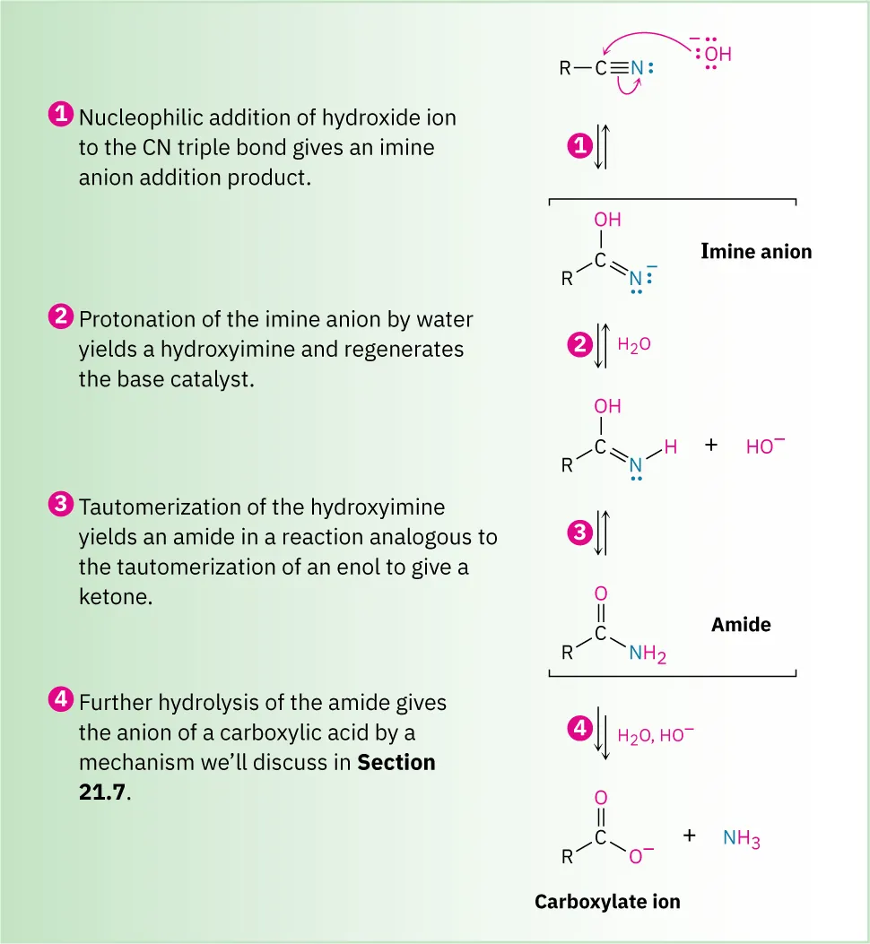 Base-catalyzed mechanism of nitrile hydrolysis to carboxylate anion via four reversible steps: nucleophilic addition of hydroxide to form imine anion, protonation to imine, tautomerization to amide, hydrolysis to carboxylate ion.
