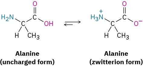 In a reversible conversion, uncharged form of alanine converts to the more favored zwitterion form of alanine.