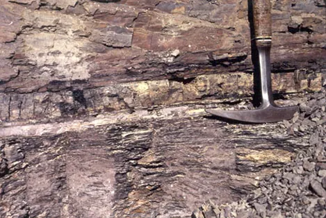 Photo shows sedimentary rock with a distinct white band in the middle representing the K–Pg boundary. The rock below this layer, which has fine bands of dark and light gray, is distinct in appearance from the smoother, redder rock above.