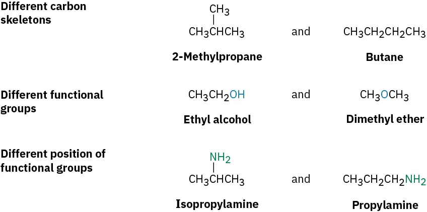 2-methylpropane and butane have different carbon skeletons. Ethyl alcohol and dimethyl ether have different functional groups. Isopropylamine and propylamine have different position of functional groups.