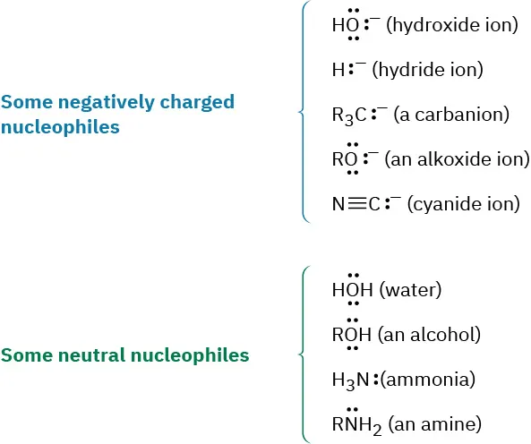 The structure and names of some negatively charged and neutral nucleophiles. Negatively charged nucleophiles include hydroxide, hydride, carbanion, alkoxide, and cyanide ions. Neutral nucleophiles include water, alcohol, ammonia, and amine.