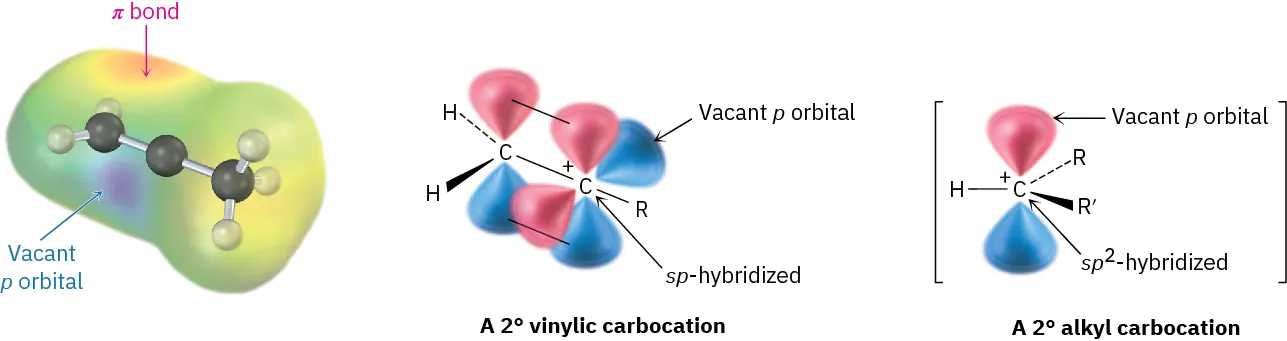 The first structure is an electrostatic potential map of vinylic carbocation. The second and third structures are secondary vinylic carbocation and secondary alkyl carbocation, respectively. Vacant p orbitals are labeled.