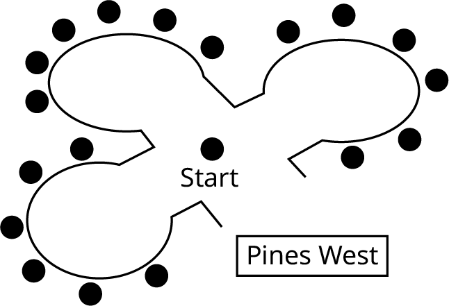 A map of Pines West. The map shows a start point at the center leading to three paths. Each path has six vertices. The start point is indicated by a vertex.