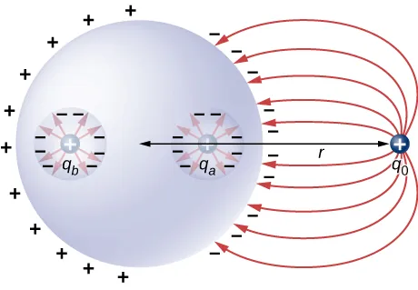 Figure shows a sphere with two cavities. A positive charge qa is in one cavity and a positive charge qb is in the other cavity. A positive charge q0 is outside the sphere at a distance r from its center.