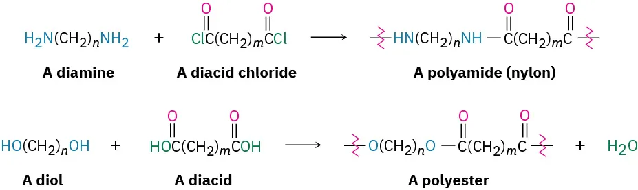 The first reaction shows a diamine reacting with a diacid chloride to form a polyamide (nylon). The second reaction shows a diol reacting with a diacid to form a polyester and water.