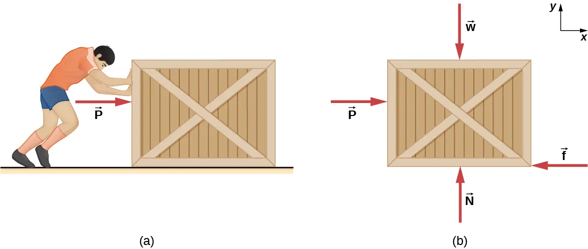 Aquí, puede representar la fuerza de fricción estática o cinética. (a) Ilustración de un hombre que empuja una caja en un suelo horizontal, y ejerce una fuerza P dirigida horizontalmente hacia la derecha. (b) Diagrama de cuerpo libre de la caja que muestra la fuerza P dirigida horizontalmente hacia la derecha, la fuerza f dirigida horizontalmente hacia la izquierda, la fuerza N dirigida verticalmente hacia arriba y la fuerza w dirigida verticalmente hacia abajo. Se muestra un sistema de coordenadas x y con la x positiva hacia la derecha y la y positiva hacia arriba.