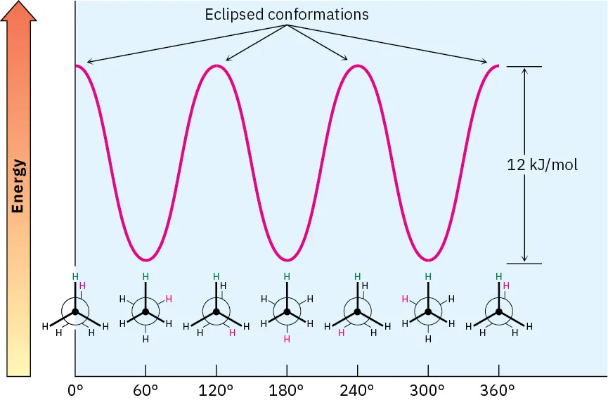 A graph of potential energy versus degrees of bond rotation in ethane. The peaks of the curve are labeled as eclipsed conformations and energy difference is 12 kilojoules per mole.