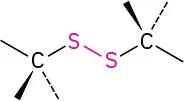 The general structure of disulfide.