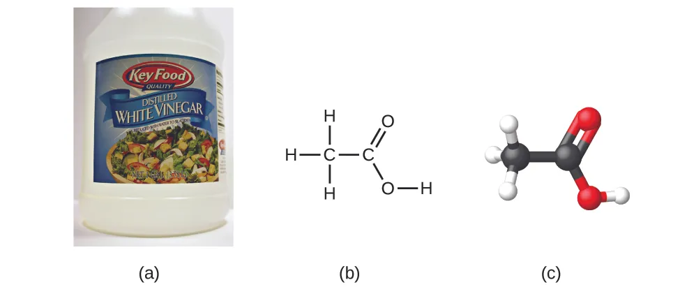 La figura A muestra una jarra de vinagre blanco destilado. La figura B muestra la fórmula estructural del ácido acético, que contiene dos átomos de carbono unidos por un enlace simple. El átomo de carbono izquierdo forma enlaces simples con tres átomos de hidrógeno. El átomo de carbono derecho forma un doble enlace con un átomo de oxígeno. El átomo de carbono derecho también forma un enlace simple con un átomo de oxígeno. Este oxígeno forma un enlace simple con un átomo de hidrógeno. La figura C muestra un modelo tridimensional de barras y esferas del ácido acético.