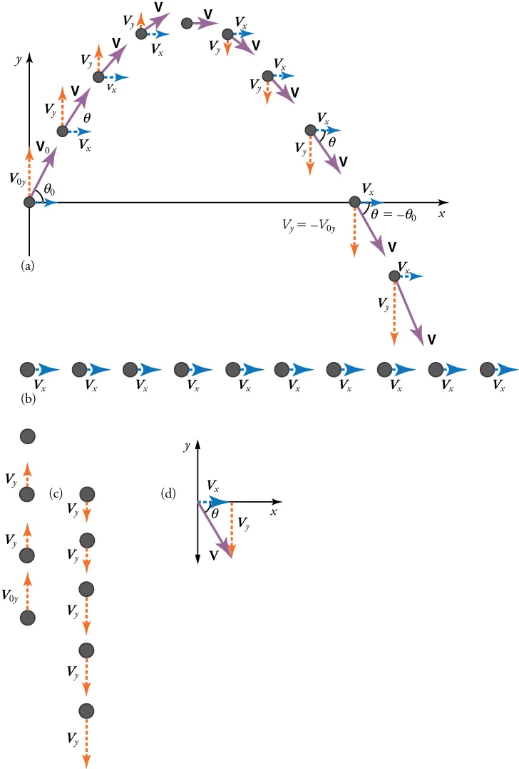 Four related diagrams of projectile motion are show, a, b, c, and d. Diagram a shows two-dimensional curved motion, vx and vy, along an x-y axis and includes the formulas V y equals negative V oy and angle equals negative angle o. Diagram b shows horizontal motion, vx. Diagram c shows upward and downward vertical velocity, vy. And diagram d shows the combination of vx, vy, and v, forming a right triangle.