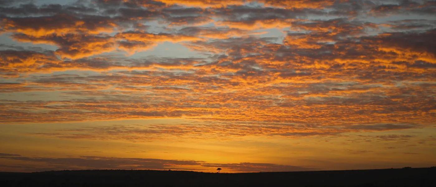 The sun rises over a plain in Africa.