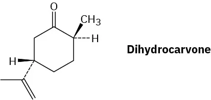 The structure of dihydrocarvone. It is a cyclohexane with carbonyl at C 1, wedged methyl and dashed hydrogen at C 2, and dashed methyl vinyl group at C 5