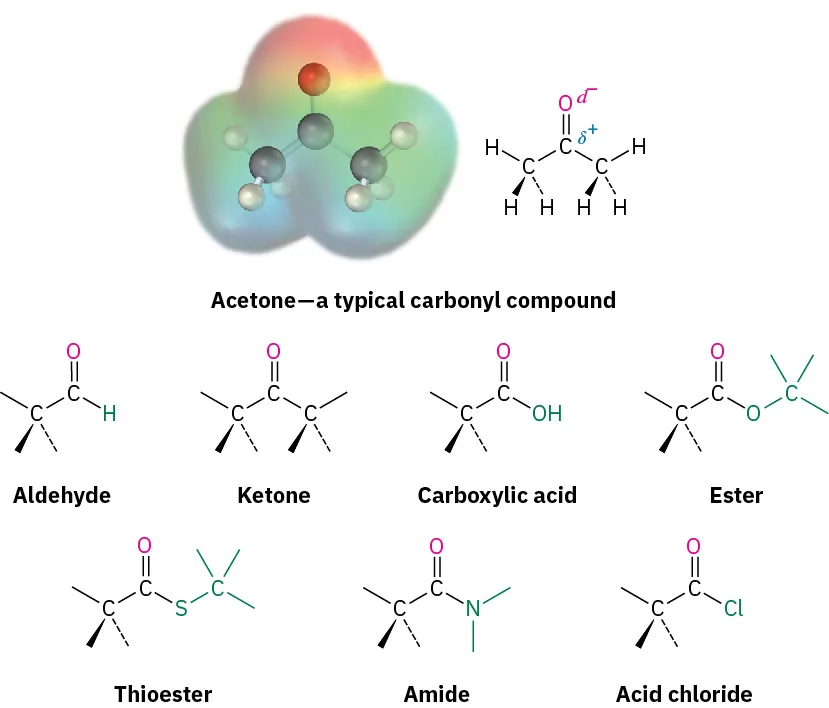 Eight general structures of acetone, aldehyde, ketone, carboxylic acid, ester, thioester, amide, and acid chloride. A ball and stick model of acetone is also shown.