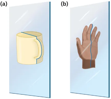 Mirror shows a coffee mug with a symmetry line passing through the handle. To the right, mirror shows a hand with a symmetry line next to the middle finger.