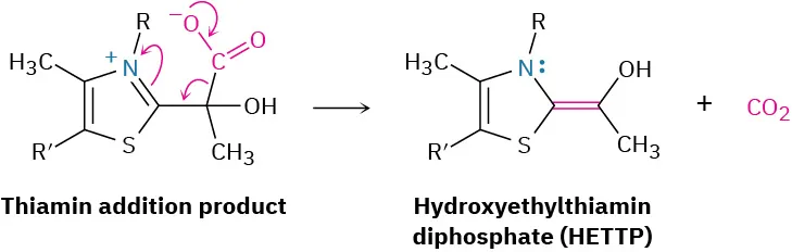 Thiamin addition product undergoes decarboxylation reaction that leads to the formation of hydroxyethylthiamin diphosphate and carbon dioxide as the product.