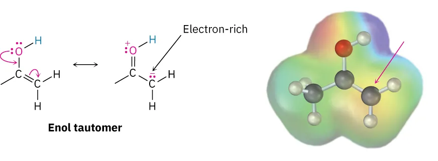 Two resonance forms of an enol tautomer as well as the electrostatic potential map with the ball-and-stick model of the second tautomer.
