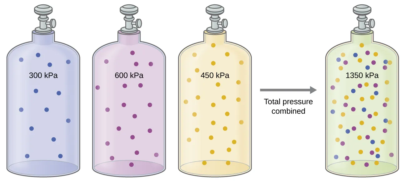 This figure includes images of four gas-filled cylinders or tanks. Each has a valve at the top. The interior of the first cylinder is shaded blue. This region contains 5 small blue circles that are evenly distributed. The label “300 k P a” is on the cylinder. The second cylinder is shaded lavender. This region contains 8 small purple circles that are evenly distributed. The label “450 k P a” is on the cylinder. To the right of these cylinders is a third cylinder. Its interior is shaded pale yellow. This region contains 12 small yellow circles that are evenly distributed. The label “6000 k P a” is on this region of the cylinder. An arrow labeled “Total pressure combined” appears to the right of these three cylinders. This arrow points to a fourth cylinder. The interior of this cylinder is shaded a pale green. It contains evenly distributed small circles in the following quantities and colors; 5 blue, 8 purple, and 12 yellow. This cylinder is labeled “1350 k P a.”