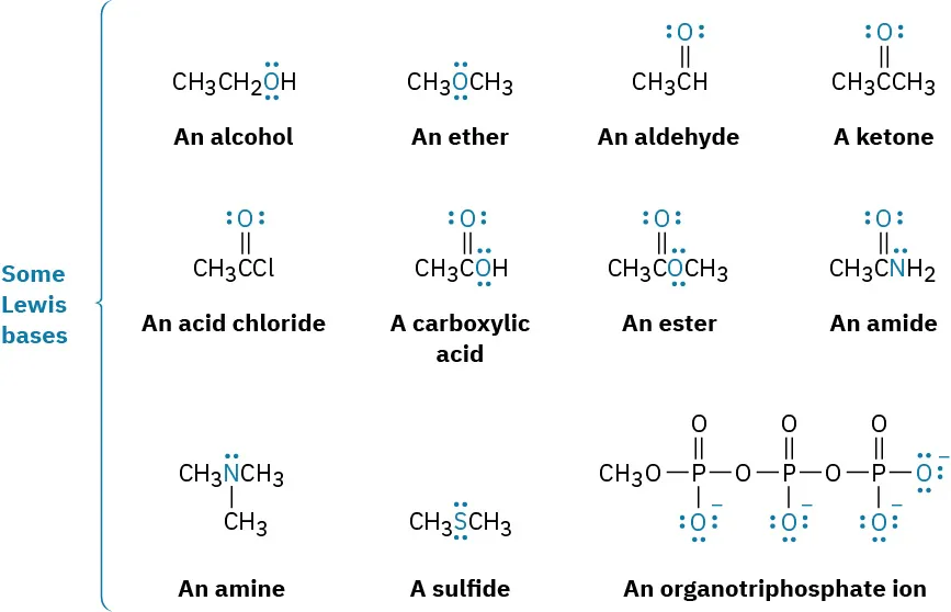Some Lewis bases are alcohol, ether, aldehyde, ketone, acid chloride, carboxylic acid, ester, amide, amine, sulfide, and organotriphosphate ion.