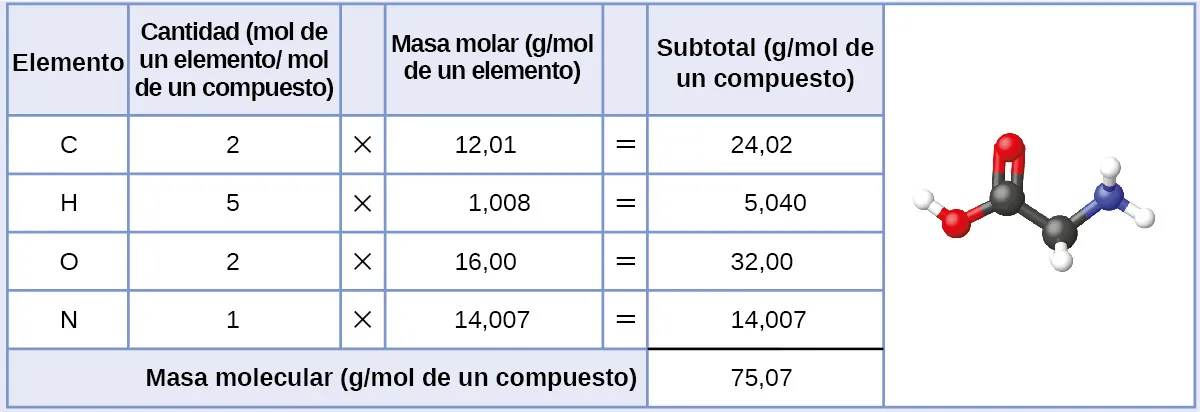 Se muestra una tabla formada por seis columnas y seis filas. La fila de encabezado dice: "Elemento", "Cantidad (mol del elemento / mol del compuesto", un espacio en blanco, "Masa molar (g / mol del elemento)", un espacio en blanco y "Subtotal (u)”. La primera columna contiene los símbolos "C", "H", "O", "N" y una celda combinada. La celda combinada tiene el ancho de las cinco primeras columnas. La segunda columna contiene los números "2", "5", "2" y "1", así como la celda combinada. La tercera columna contiene el símbolo de la multiplicación en cada celda, excepto en la última celda combinada. La cuarta columna contiene los números "12,01", "1,008", "16,00" y "14,007", así como la celda combinada. La quinta columna contiene el símbolo "=" en cada celda, excepto en la última celda combinada. La sexta columna contiene los valores "24,02", "5040", "32,00", "14,007" y “75,07”. Hay una línea negra gruesa bajo el número 14,007. La celda combinada bajo las cinco primeras columnas dice "Masa molar (g / mol de compuesto)". A la derecha de esta tabla se encuentra un dibujo de barras y esferas. Muestra una esfera negra que forma un doble enlace con una esfera roja ligeramente más pequeña, un enlace simple con otra esfera roja y un enlace simple con otra esfera negra. La esfera roja que forma un enlace simple con la esfera negra, también forma un enlace simple con una esfera blanca más pequeña. La segunda esfera negra forma un enlace simple con una esfera blanca más pequeña y una esfera azul más pequeña. La esfera azul forma un enlace simple con dos esferas blancas más pequeñas cada una.