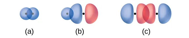 Se muestran tres diagramas marcados como "a", "b" y "c". El diagrama a muestra dos orbitales esféricos colocados uno al lado del otro y superpuestos. El diagrama b muestra un orbital esférico y otro con forma de maní situados uno cerca del otro, de modo que el orbital esférico se superpone con un extremo del orbital con forma de maní. El diagrama c muestra dos orbitales con forma de maní colocados uno al lado del otro, de forma que un extremo de cada orbital se superpone al otro.