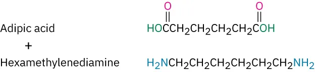The structure of adipic acid is a six carbon chain, C1 and C 6 of which are carboxylic acids The structure of hexamethylenediamine is a six carbon chain with amine groups on C1 and C 6.