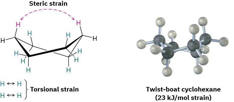 The structure and ball and stick model of twist-boat cyclohexane with 23 kilojoules per mole strain. The twist-boat cyclohexane has both steric and torsional strains.