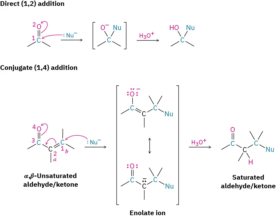 In direct (1,2) addition, nucleophile attacks carbonyl, forms alcohol after protonation. In conjugate (1,4) addition, nucleophile attacks beta carbon of alpha-beta unsaturated aldehyde or ketone to form saturated after protonation.