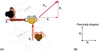 (a) Overhead view of two ice skaters pushing on a third. One skater pushes with a force F two, represented by an arrow pointing up, and a second skater pushes with a force F one, represented by an arrow pointing from left to right. Vector F one and vector F two are along the arms of the two skaters acting on the third skater. A vector diagram is shown in the form of a right triangle in which the base is vector F one pointing east, and perpendicular to F one is vector F two pointing north. The resultant vector is shown by the hypotenuse pointing northeast. (b) Free-body diagram showing only the forces acting on the skater.