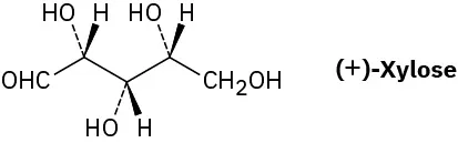 Acyclic wedge-dash structure of (plus)-xylose.