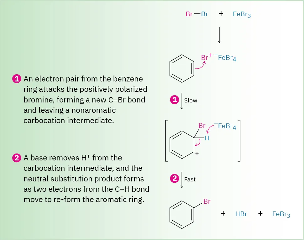 A two-step reaction mechanism shows the formation of bromobenzene, hydrogen bromide, and iron tribromide from benzene and B r plus F e B r 4 minus.