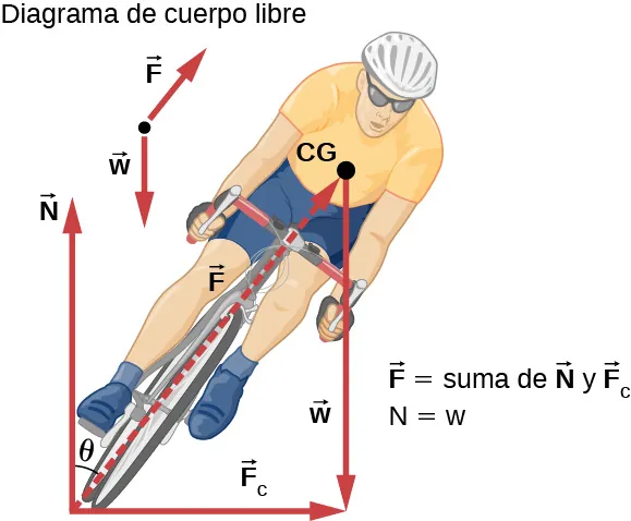 La figura es una ilustración de un hombre que monta bicicleta, visto de frente. El ciclista y la bicicleta están inclinados hacia la derecha con un ángulo theta con respecto a la vertical. Los tres vectores de fuerza se muestran como flechas de líneas continuas. Una es desde la parte inferior de la rueda delantera hacia la derecha y muestra la fuerza centrípeta F sub c. Una segunda es desde el mismo punto verticalmente hacia arriba y muestra la fuerza N. La tercera es desde el pecho del ciclista verticalmente hacia abajo y muestra su peso, w. También se muestra una flecha de línea discontinua adicional desde la parte inferior de la rueda hasta el punto del pecho, con un ángulo theta a la derecha de la vertical, y marcada con la fuerza F que se ejerce sobre ella. Los vectores F sub c, w y F forman un triángulo rectángulo cuya hipotenusa es F. Encima de la figura también se da un diagrama de cuerpo libre que muestra los vectores w y F. Las relaciones vectoriales F igual a la suma de N y F sub c, y N igual a w también se dan junto a la figura.