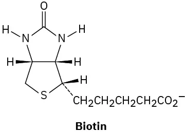 The wedge-dash structure of biotin.