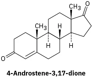 The structure of 4-androstene-3, 17-dione shows three fused cyclohexane rings and one cyclopentane ring with two methyl groups at junctions. Two ketone groups are located on third and seventeenth carbon.