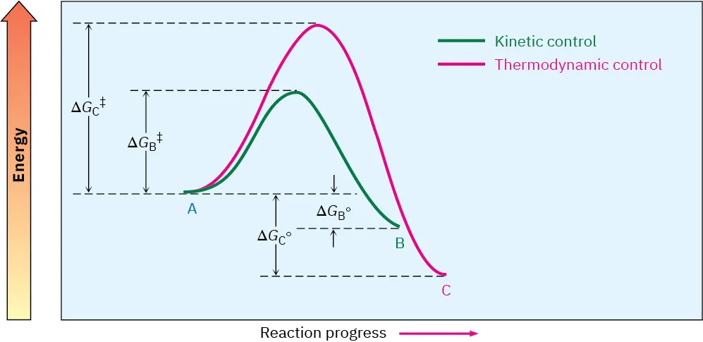 The energy diagram shows the thermodynamic control curve forming a higher peak than the kinetic control curve. The x and y axes denotes reaction progress and energy, respectively.