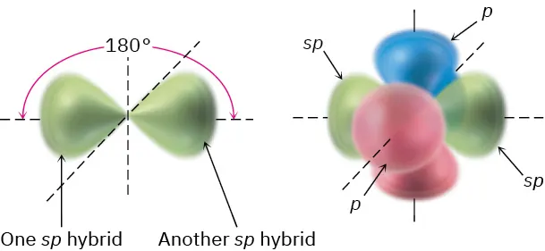 The orientation of two s p orbitals at 180 degrees on the x-axis. The p orbital in the second image is perpendicular to the y and z axis.