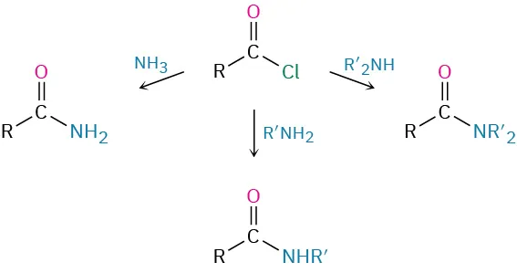 A flowchart shows the preparation of amides from acid chloride using ammonia, monosubstituted, and disubstituted amines. R group is single-bonded to carbonyl carbon in all structures.