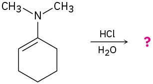 The reaction shows N, N-dimethylcyclohex-1-enamine with hydrochloric acid and water to yield an unknown product marked with a question mark.