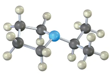 A ball and stick model of a cyclic four-carbon chain connected to a three-carbon chain and other alkyl groups. Gray, white and blue spheres denote carbon, hydrogen, and nitrogen, respectively.