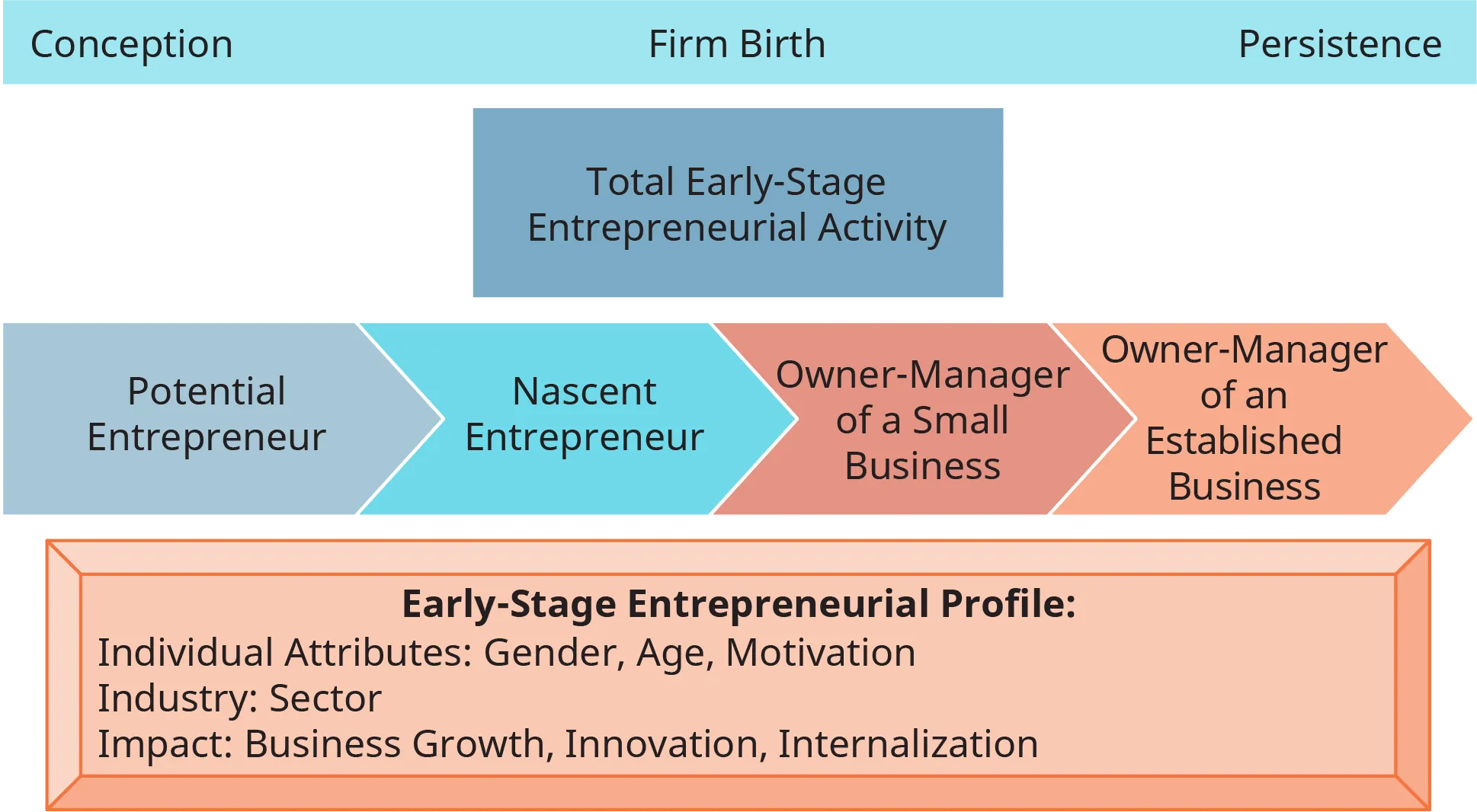 A diagram illustrates the model and measures of entrepreneurial activity.