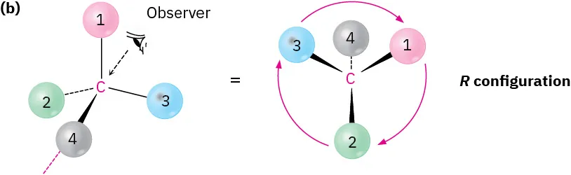 A carbon is single bonded to substituents 1 and 3, wedge bonded to 4, and dash bonded to 2. To the right, the substituents are arranged in R configuration.
