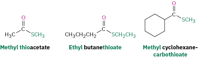 The structures of three thioesters. The first is methyl thioacetate, the second is ethyl butanethioate, and the third is methyl cyclohexanecarbothioate.