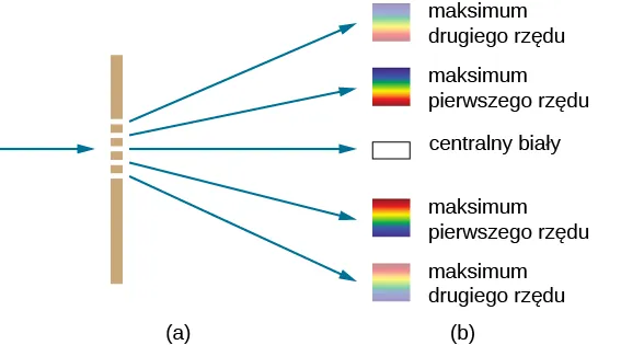 Figura przedstawia po lewej stronie pionową linię. Linia posiada 5 rowków. Promień wchodzi do rowków, biegnąc z lewej strony. Z każdego rowka wychodzi jeden promień. Każdy z nich wskazuje prostokąt. Prostokąty te opisane są kolejno od góry do dołu jako tęcza drugiego rzędu, tęcza pierwszego rzędu, centralny biały, tęcza pierwszego rzędu, tęcza drugiego rzędu. Tęcza pierwszego rzędu pokazana jako prostokąt jest jaśniejsza niż tęcza drugiego rzędu.