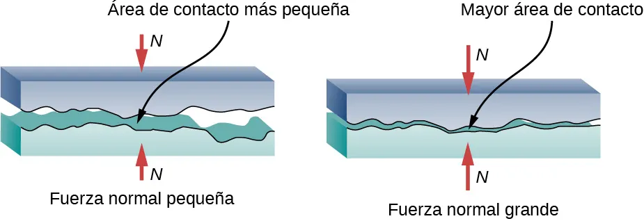 Esta figura tiene dos partes, cada una de las cuales muestra dos superficies ásperas paralelas muy próximas entre sí. Como las superficies son irregulares, las dos entran en contacto únicamente en determinados puntos y dejan espacios intermedios. En la primera parte, la fuerza normal es pequeña, por lo que las superficies están más separadas y el área de contacto entre las dos superficies es mucho menor que su área total. En la segunda parte, la fuerza normal es grande, por lo que las dos superficies están muy cerca la una de la otra y el área de contacto entre las dos superficies ha aumentado.