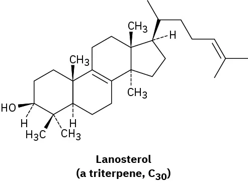 The wedge-dash structure of lanosterol (a triterpene, C 30).