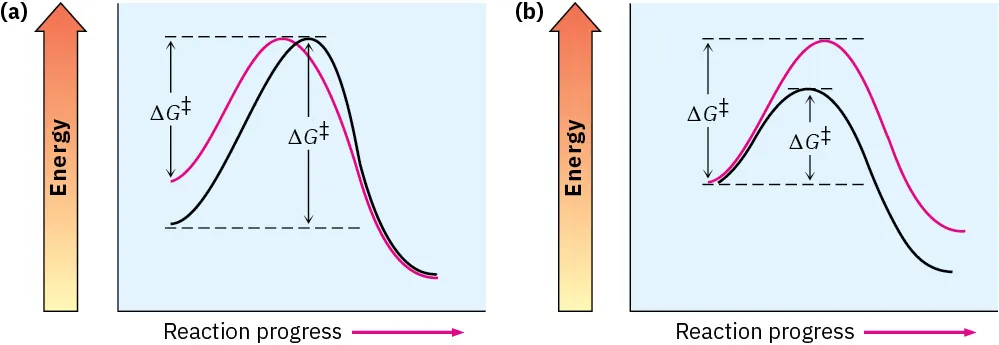 Two line graphs of energy level versus reaction progress. In both graphs, the vertical distance between starting point of curves and their peaks is labeled by delta G double dagger.