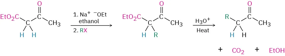 A ketone reacts with sodium ethoxide in ethanol and R X, followed by treatment with acid and heat gives an alpha alkylated ketone product.