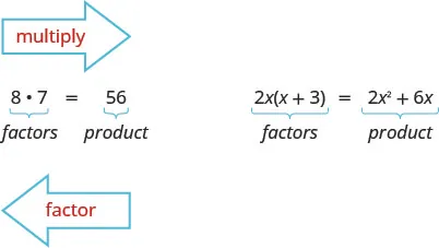 8 times 7 is 56. Here 8 and 7 are factors and 56 is the product. An arrow pointing from 8 times 7 to 56 is labeled multiply. An arrow pointing from 56 to 8 times 7 is labeled factor. 2x open parentheses x plus 3 close parentheses equals 2x squared plus 6x. Here the left side of the equation is labeled factors and the right side is labeled products.